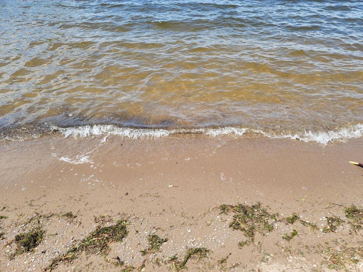 Fun Place With A Sandy Beach For Swimming, Boating, And Fishing, Featuring 3 Available Cabins Fenelon Falls Dış mekan fotoğraf