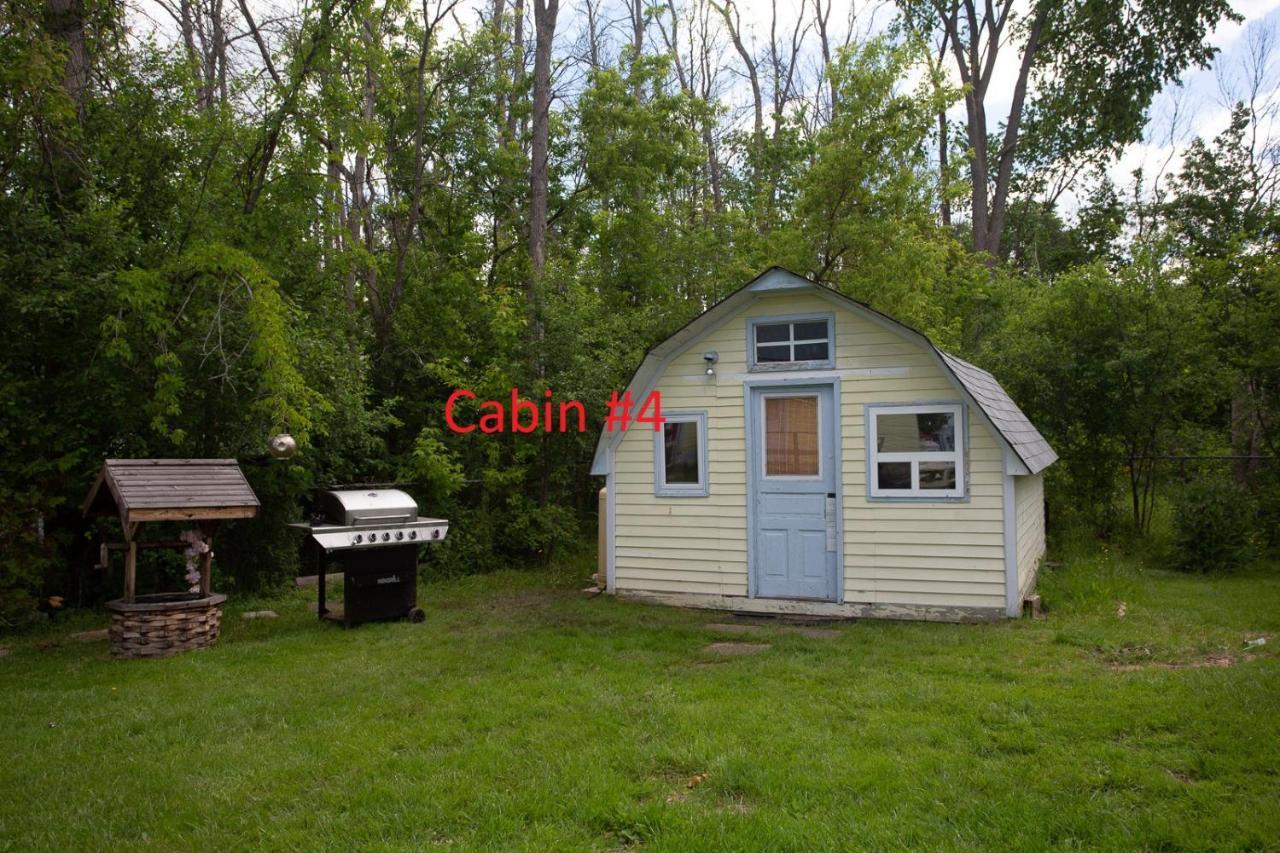 Fun Place With A Sandy Beach For Swimming, Boating, And Fishing, Featuring 3 Available Cabins Fenelon Falls Dış mekan fotoğraf